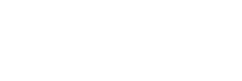 Integra Store Test